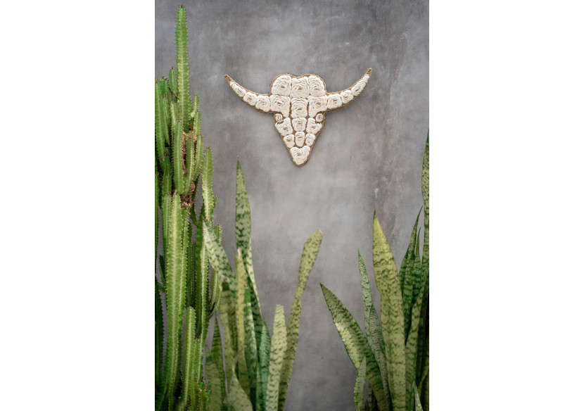 Coquillage Taureau - Blanc - BABL021W - Bazar Bizar