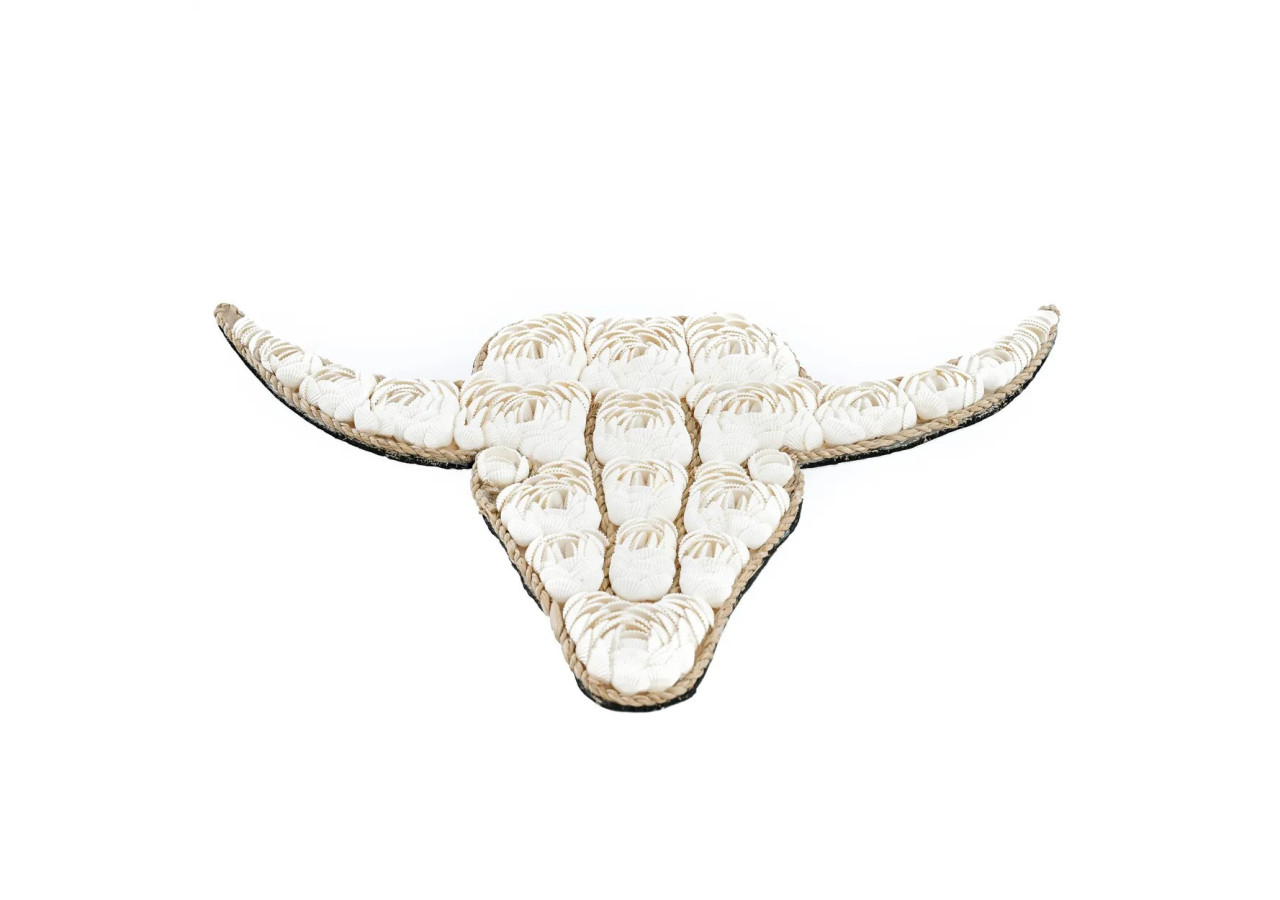Coquillage Taureau - Blanc - BABL021W - Bazar Bizar