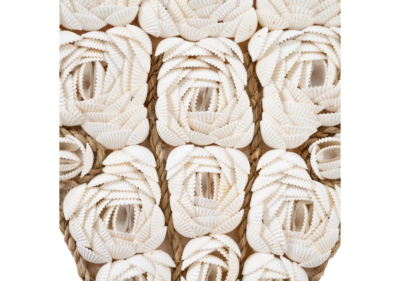 Coquillage Taureau - Blanc - BABL021W - Bazar Bizar