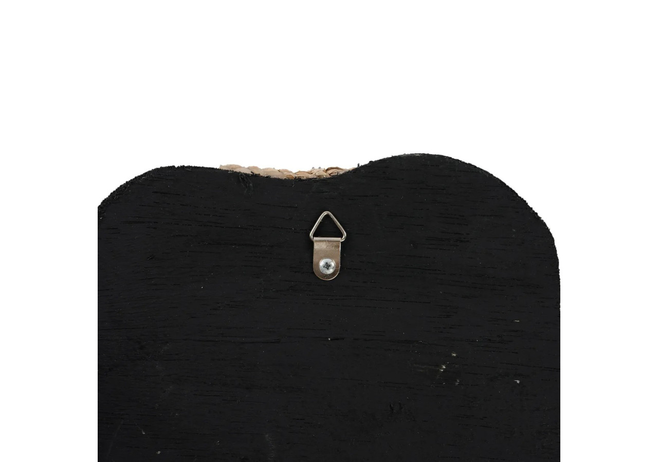 Coquillage Taureau - Blanc - BABL021W - Bazar Bizar