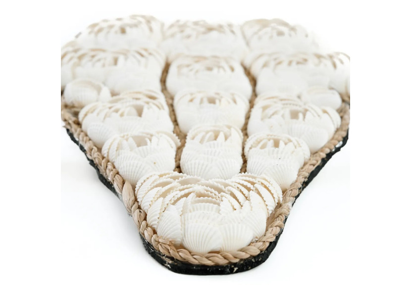 Coquillage Taureau - Blanc - BABL021W - Bazar Bizar