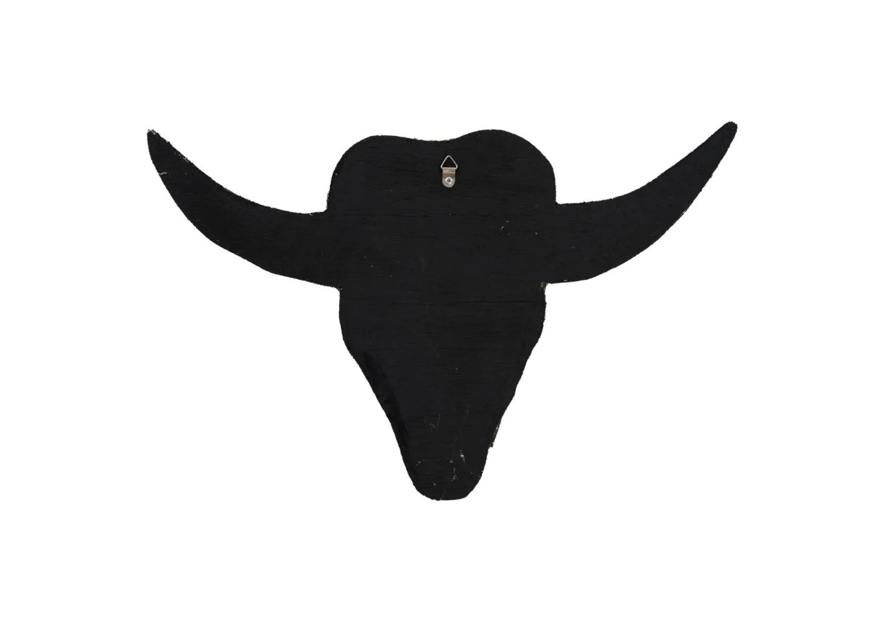 Coquillage Taureau - Blanc - BABL021W - Bazar Bizar