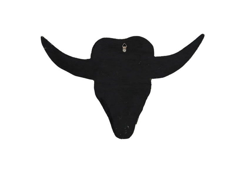 Coquillage Taureau - Blanc - BABL021W - Bazar Bizar