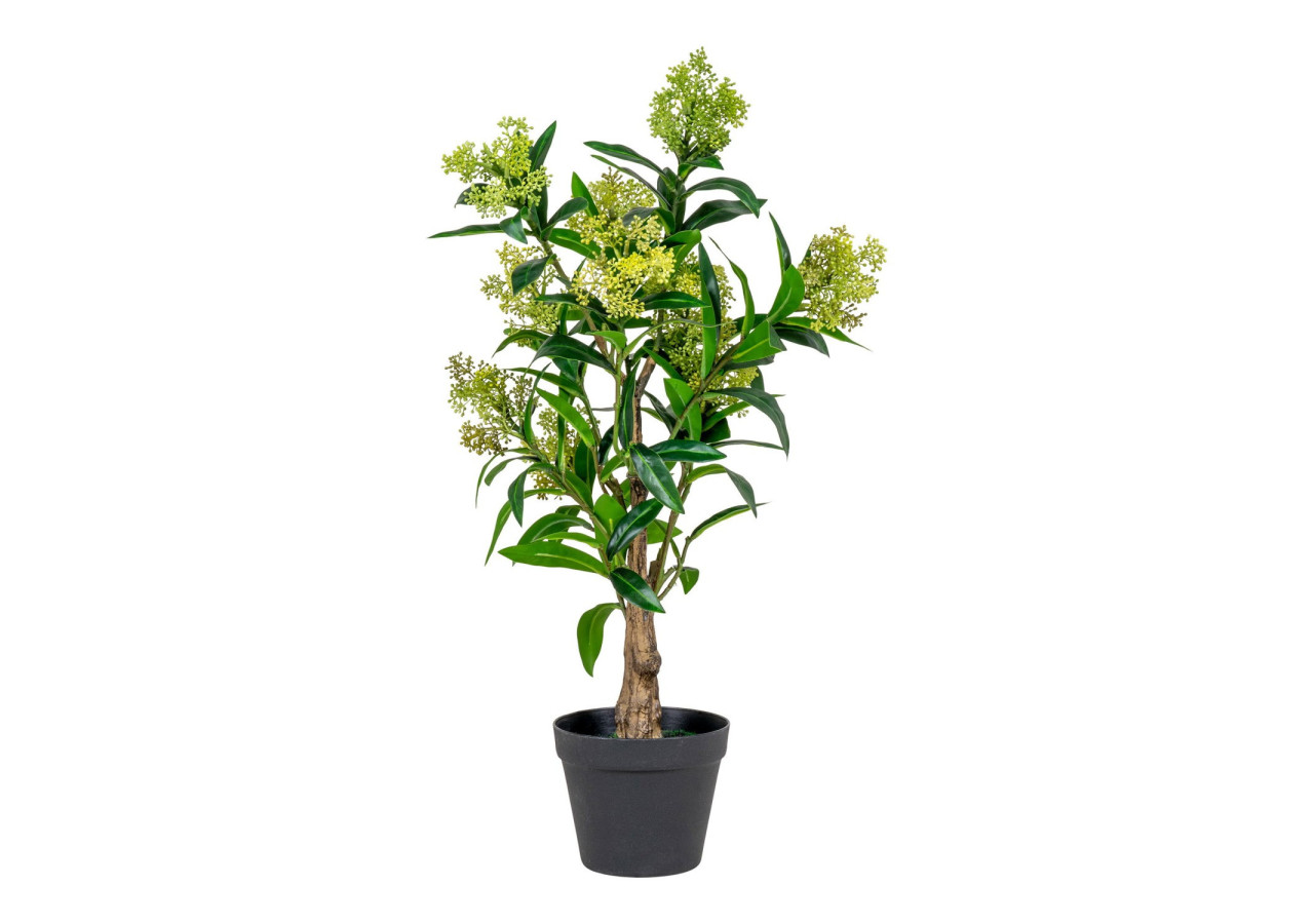 Plante artificielle SKIMMIA - Verte, 75 cm - 9501120 - House Nordic