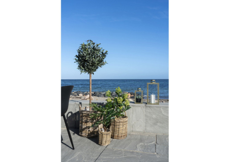 Plante artificielle SKIMMIA - Verte, 75 cm - 9501120 - House Nordic 2