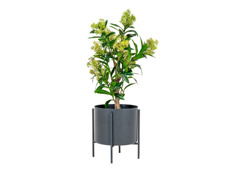Plante artificielle SKIMMIA - Verte, 75 cm - 9501120 - House Nordic