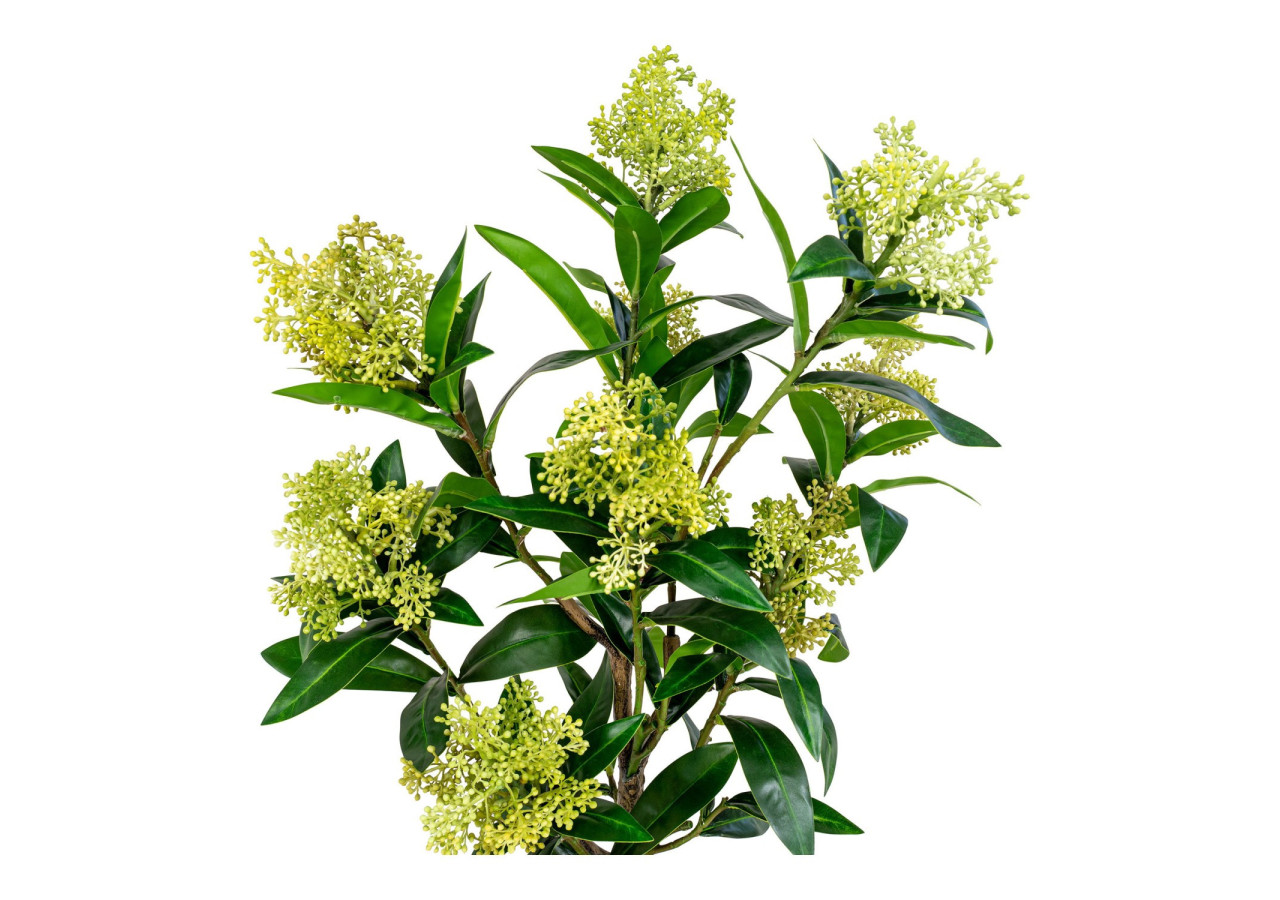 Plante artificielle SKIMMIA - Verte, 75 cm - 9501120 - House Nordic