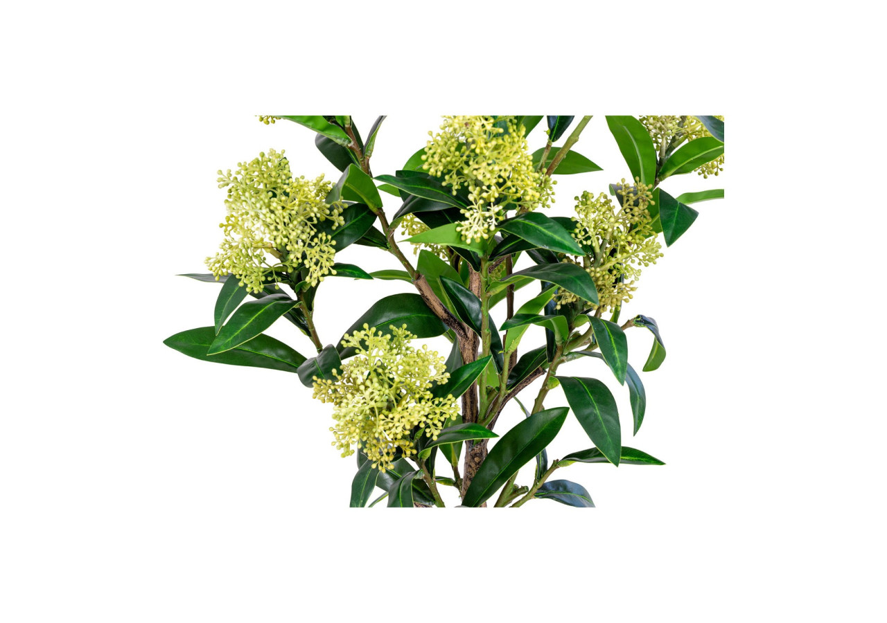 Plante artificielle SKIMMIA - Verte, 75 cm - 9501120 - House Nordic