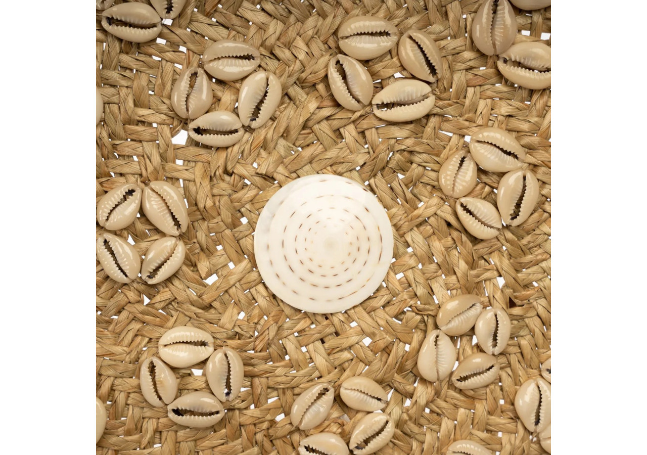 Assiette Caribe Shell - Naturelle blanche - Taille M_40 - JABR071NW-M - Bazar Bizar