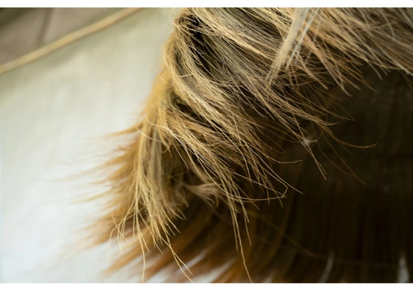 Suspension Makiki - XL - Artisanal en Herbe Mendong - JARE009N-XL - Bazar Bizar