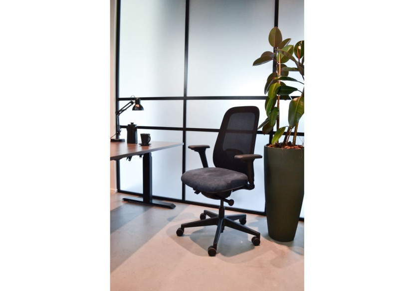 Fauteuil Ergonomique Workliving Nora - Bleu Regain avec 10 ans de garantie - 3006661 - Workliving Fauteuil Ergonomique Workliving Nora - Bleu Regain avec 10 ans de garantie - 3006661 - Workliving