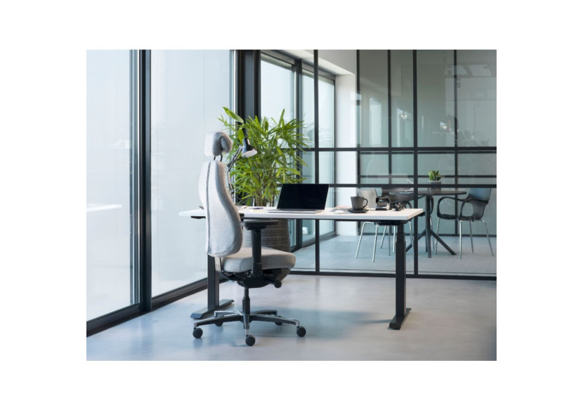 Chaise de Bureau Sit And Move Therapod X Compact - Confort et Ergonomie en Gris - 7000000C - Sit And Move