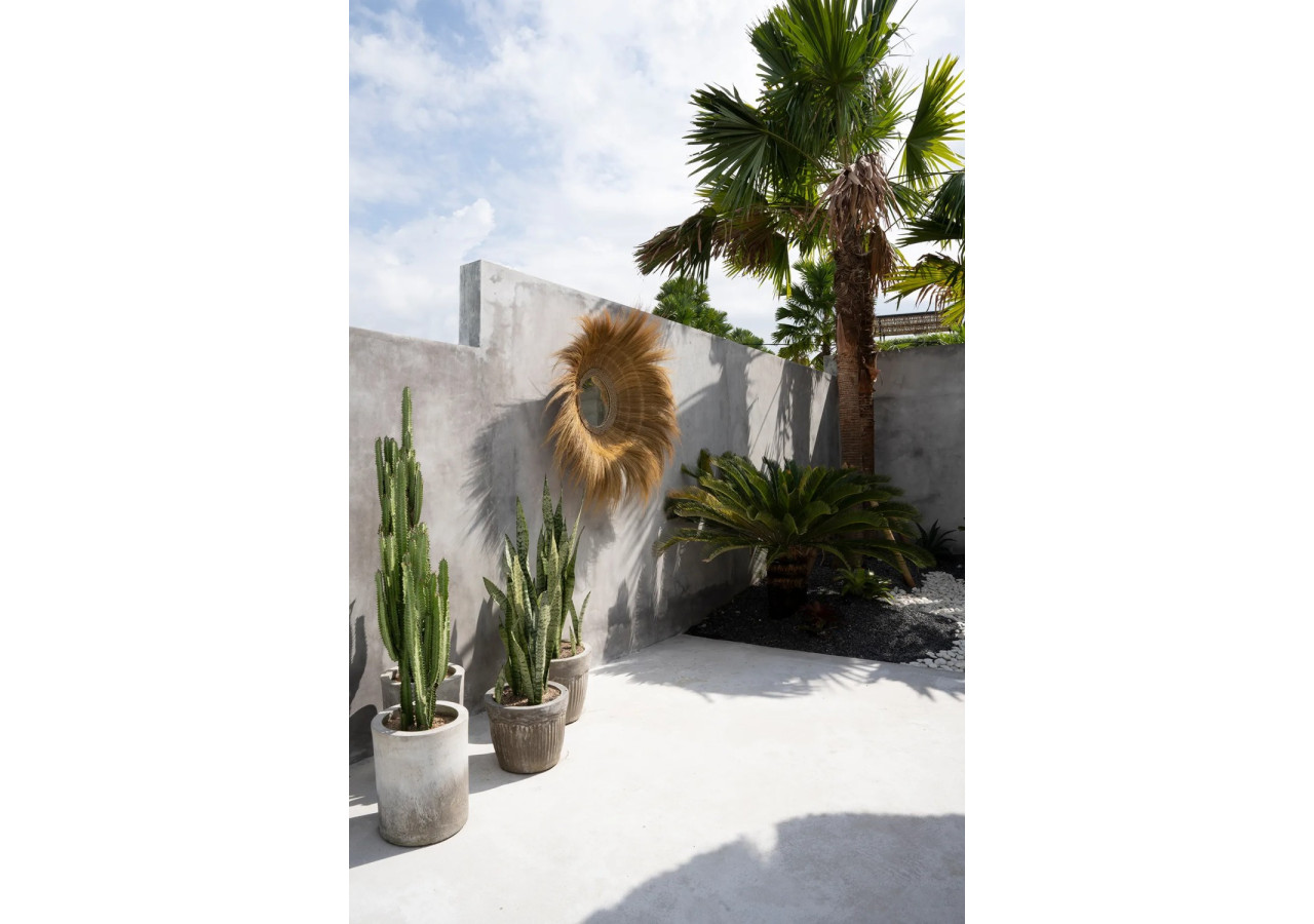 Miroir FORÊT ENFONCÉ - Naturel - JARE001N - Bazar Bizar