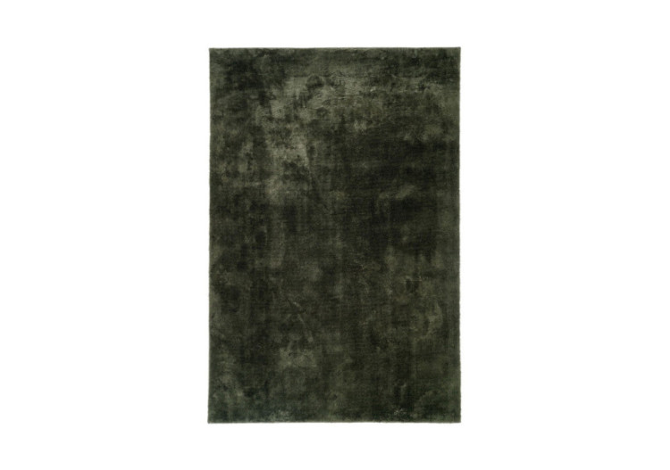 Tapis Miami - Rectangulaire vert 160 x 230 cm - 3981414 - House Nordic