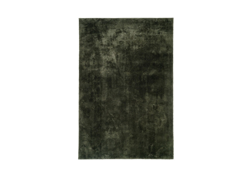 Tapis Miami - Rectangulaire vert 160 x 230 cm - 3981414 - House Nordic