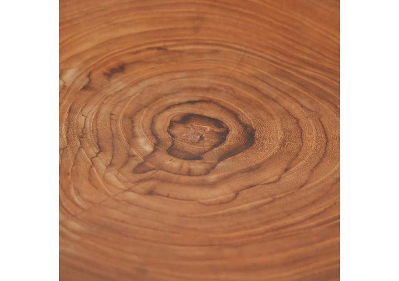 Assiette Organique en Racine de Teck - Unicité et Nature - BASU600 - Bazar Bizar