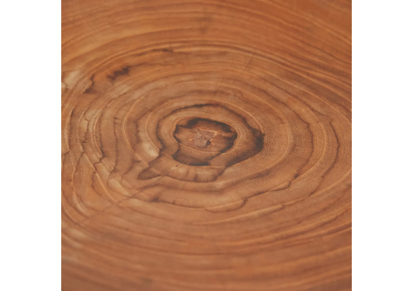 Assiette Organique en Racine de Teck - Unicité et Nature - BASU600 - Bazar Bizar