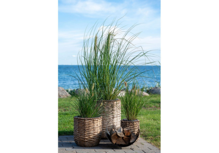 Hanoi Planter - Jardinières en jacinthe d'eau, rondes, naturelles, lot de 3 - 4401012 - House Nordic 2
