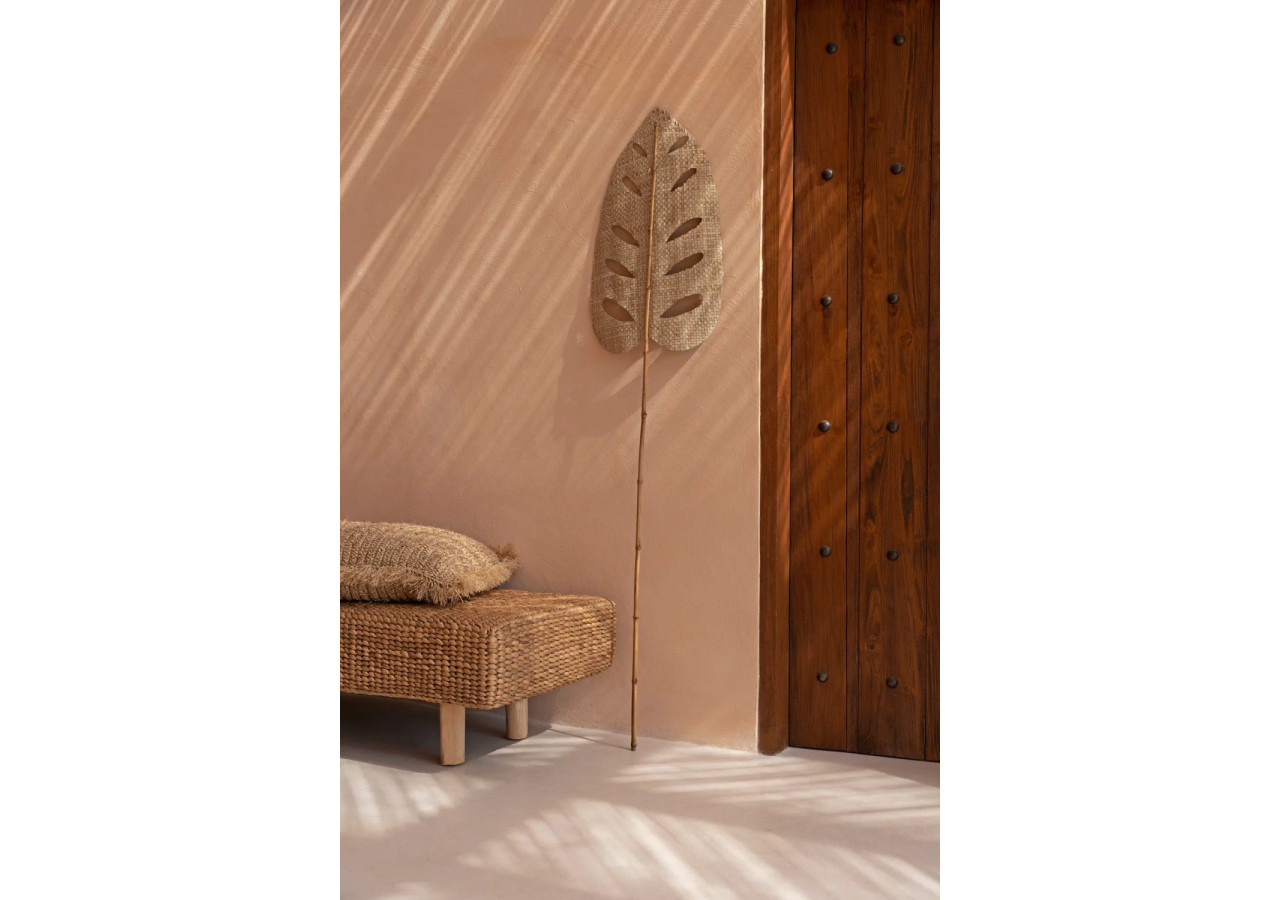 Feuille d'Hyacinthe d'Eau - Naturel - JARE014N - Bazar Bizar