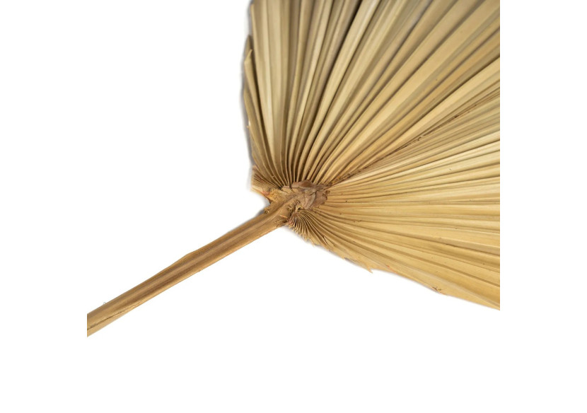 Feuille Rayung en Rotin - Naturel - JARE012N - Bazar Bizar Feuille Rayung en Rotin - Naturel - JARE012N - Bazar Bizar