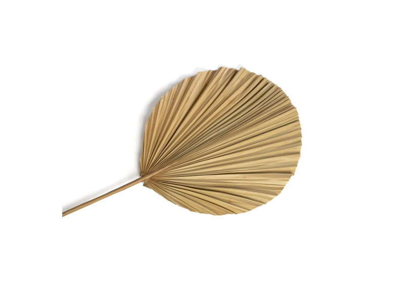 Feuille Rayung en Rotin - Naturel - JARE012N - Bazar Bizar Feuille Rayung en Rotin - Naturel - JARE012N - Bazar Bizar