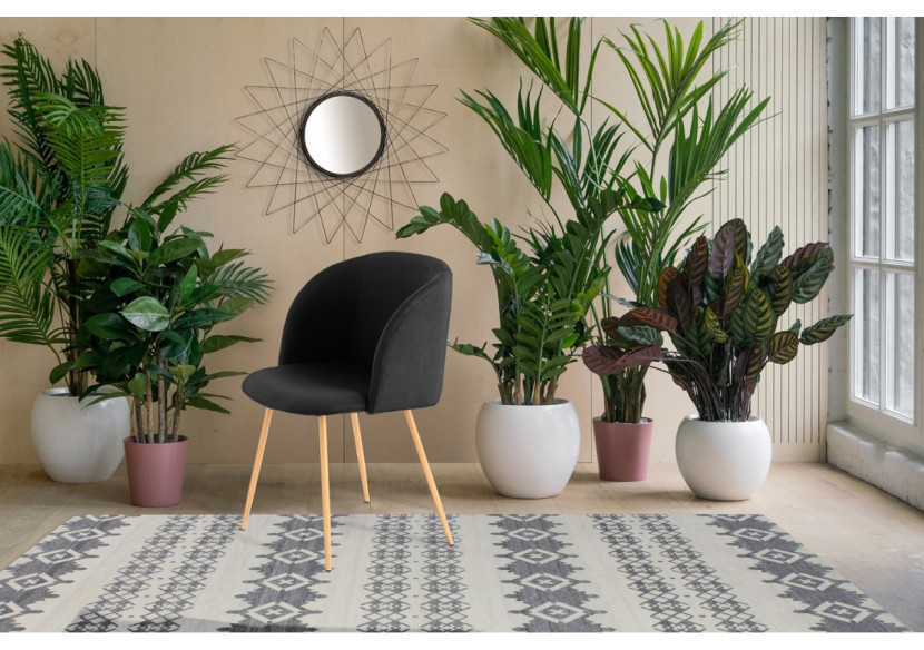 Set de Chaises Celina 200 - Noires, Design Moderne 56x54x84cm - 3XA6H - Kayoom Set de Chaises Celina 200 - Noires, Design Moderne 56x54x84cm - 3XA6H - Kayoom