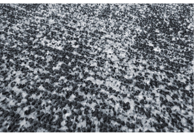 Tapis Etna 100 - Bleu Clair 80cm x 150cm - 5P6A7-80-150 - Kayoom 2