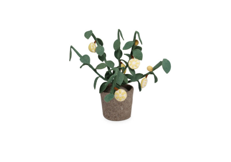 Plante Agrumes - Décoration Fruitière en Feutre - 60000119 - KidsDepot