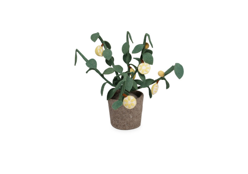 Plante Agrumes - Décoration Fruitière en Feutre - 60000119 - KidsDepot