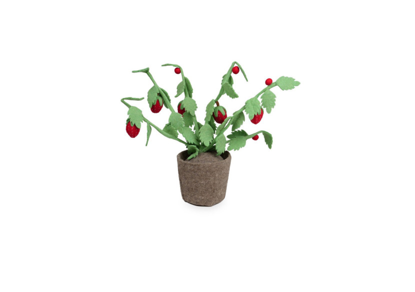 Plante Fraise - Décoration Murale Fruitière en Feutre - 60000120 - KidsDepot