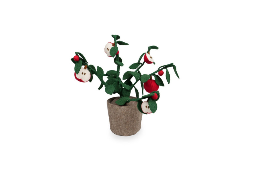 Plante Pomme - Decoration Fruitière en Feutre - 60000121 - KidsDepot