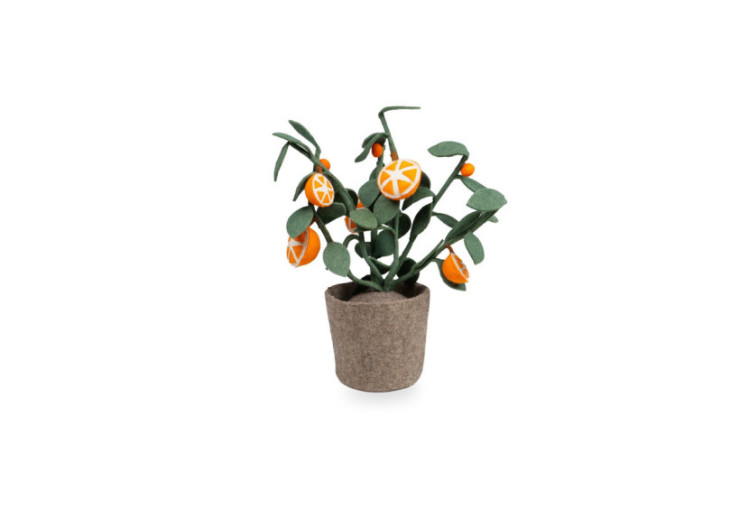 Plante Orange - Décoration Fruitière en Feutre - 60000122 - KidsDepot