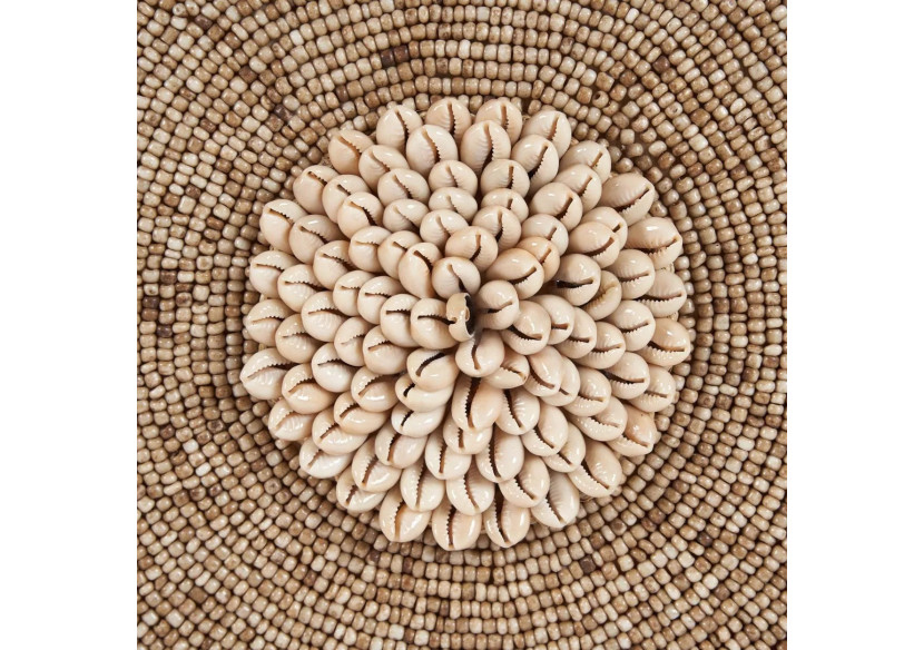 Coquillage Guadeloupe sur Support - Blanc naturel - BALE091NW - Bazar Bizar