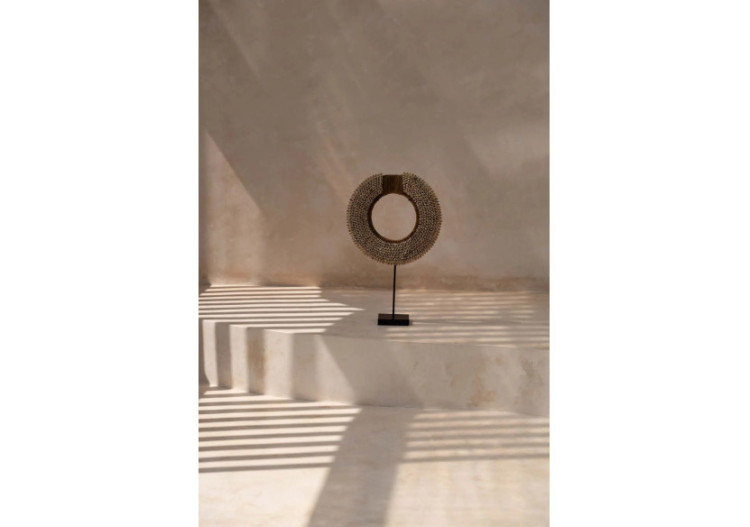 Rassemblement de Coquillages sur Support - Naturel - BALE089N - Bazar Bizar 2