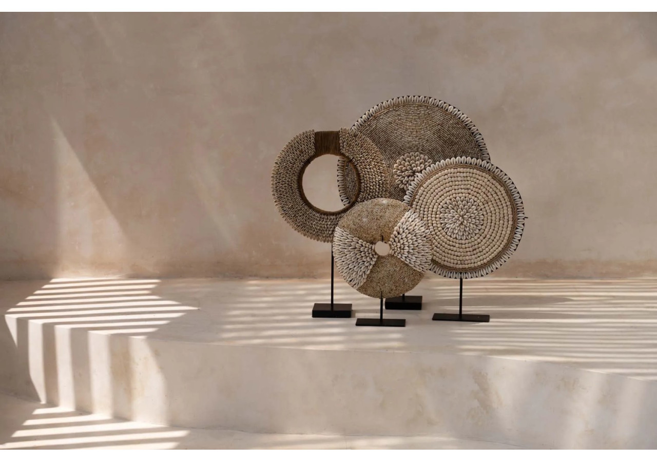 Rassemblement de Coquillages sur Support - Naturel - BALE089N - Bazar Bizar