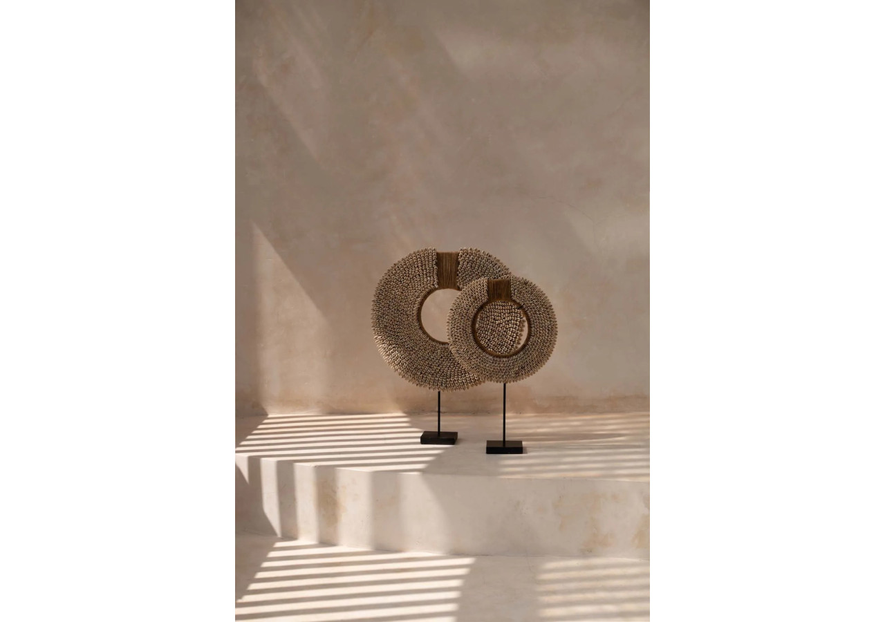 Rassemblement de Coquillages sur Support - Naturel - BALE089N - Bazar Bizar