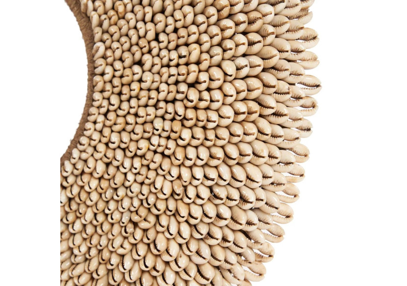 Rassemblement de Coquillages sur Support - Naturel - BALE089N - Bazar Bizar