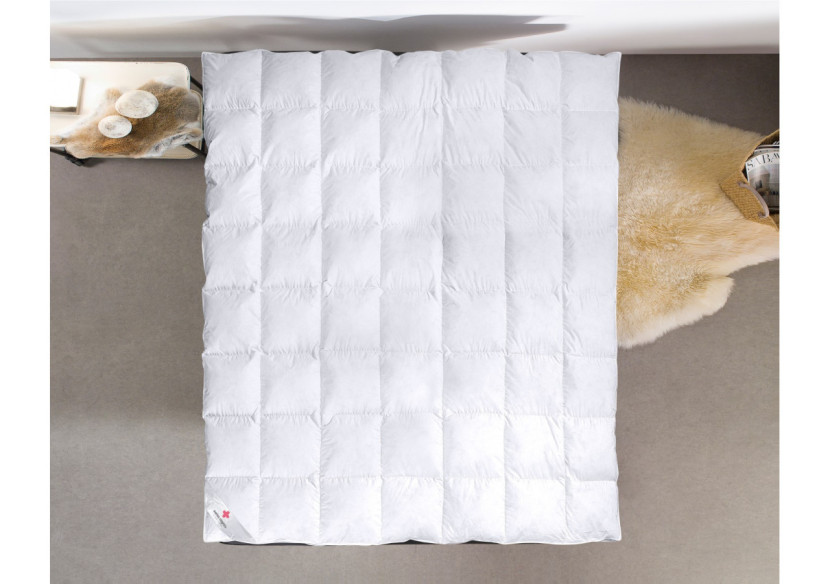 Surmatelas Duvet et Plumes - Confort Optimal 90 x 200 cm - 15029249 - Swiss Nights