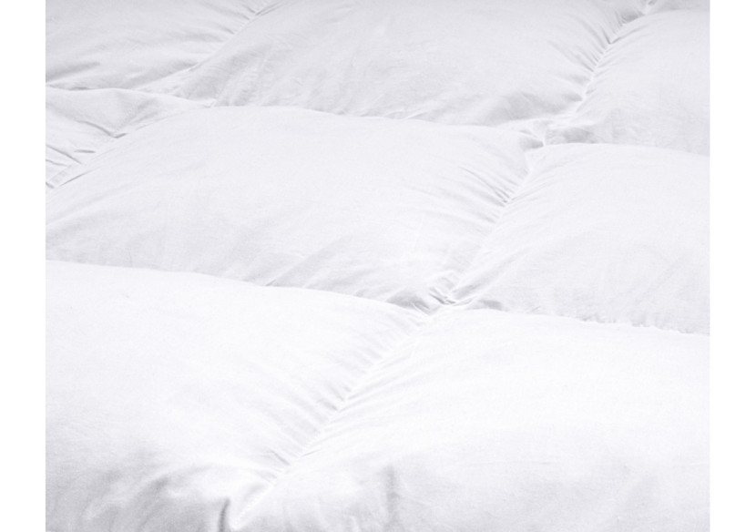 Surmatelas Duvet et Plumes - Confort Optimal 90 x 200 cm - 15029249 - Swiss Nights