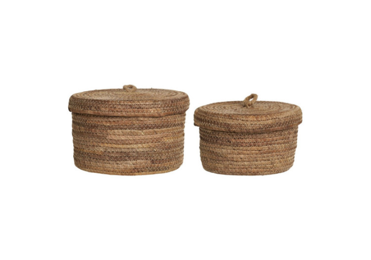 Desio Baskets - Tendance et...
