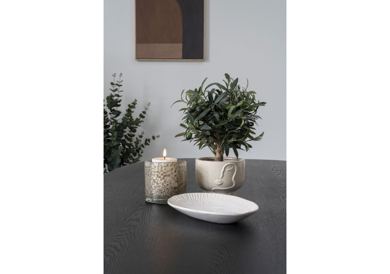 Plateau Élégant - Design moderne en bois - 4501356 - House Nordic