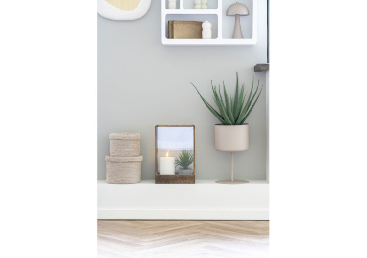 Aloe Vera - Plante Bien-être et Décorative - 9501001 - House Nordic 2