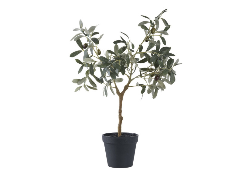 Olivier Méditerranéen - Symbole de Paix - 9501002 - House Nordic Olivier Méditerranéen - Symbole de Paix - 9501002 - House Nordic