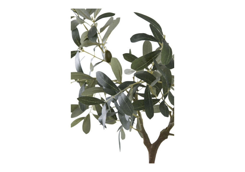 Olivier Méditerranéen - Symbole de Paix - 9501002 - House Nordic Olivier Méditerranéen - Symbole de Paix - 9501002 - House Nordic