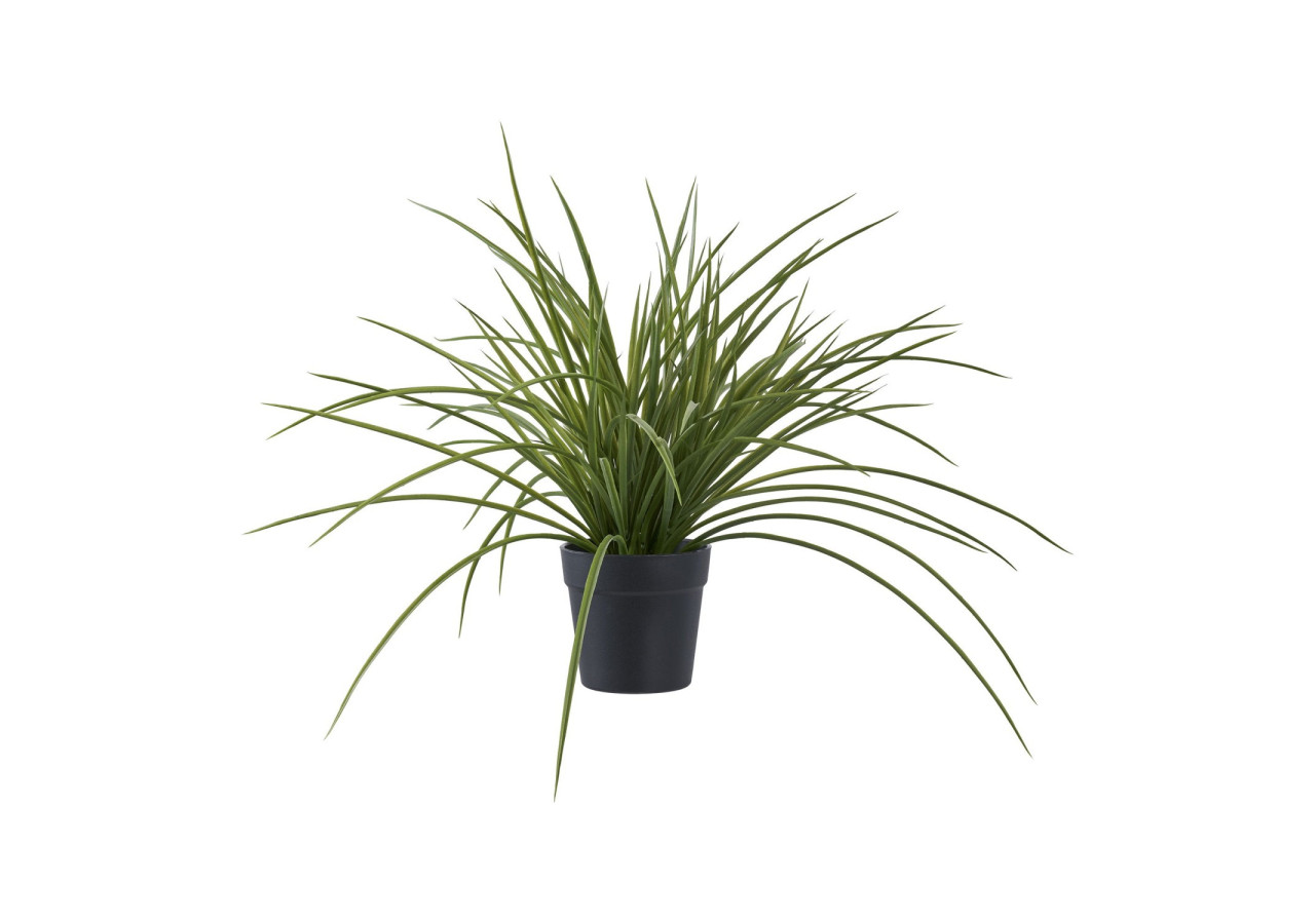 Herbe Naturelle - Idéal pour un jardin verdoyant - 9501004 - House Nordic