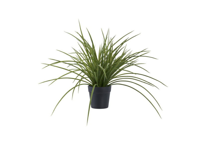 Herbe Naturelle - Idéal pour un jardin verdoyant - 9501004 - House Nordic