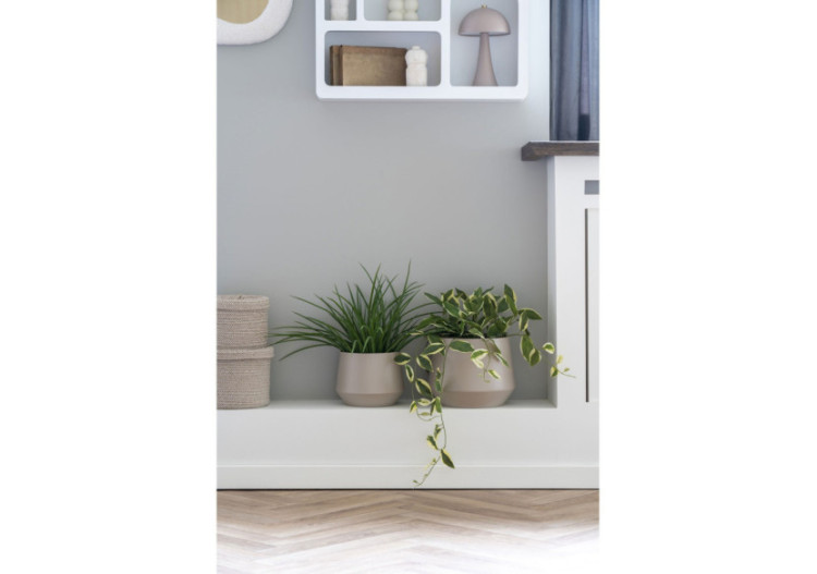 Herbe Naturelle - Idéal pour un jardin verdoyant - 9501004 - House Nordic 2