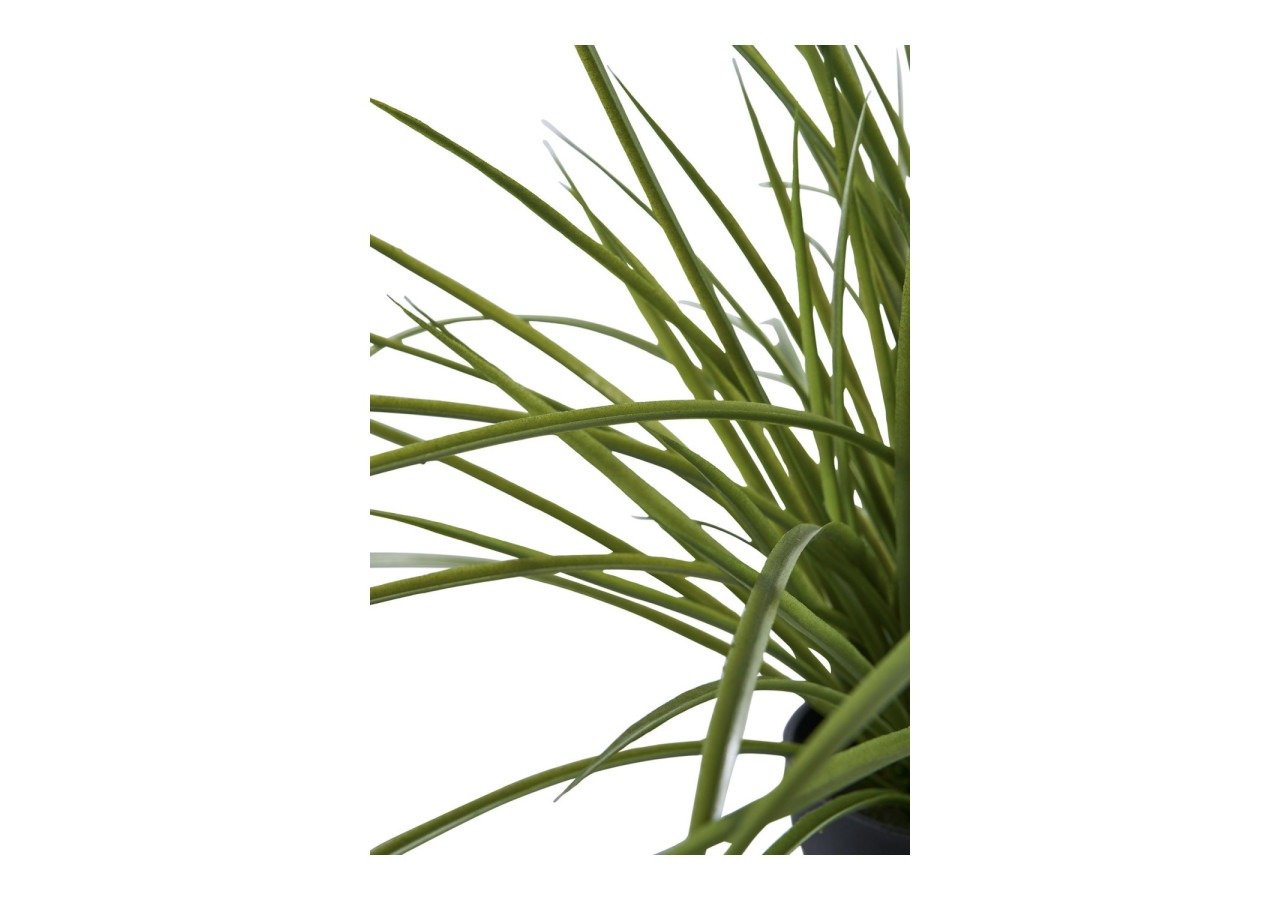 Herbe Naturelle - Idéal pour un jardin verdoyant - 9501004 - House Nordic