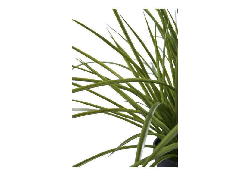 Herbe Naturelle - Idéal pour un jardin verdoyant - 9501004 - House Nordic