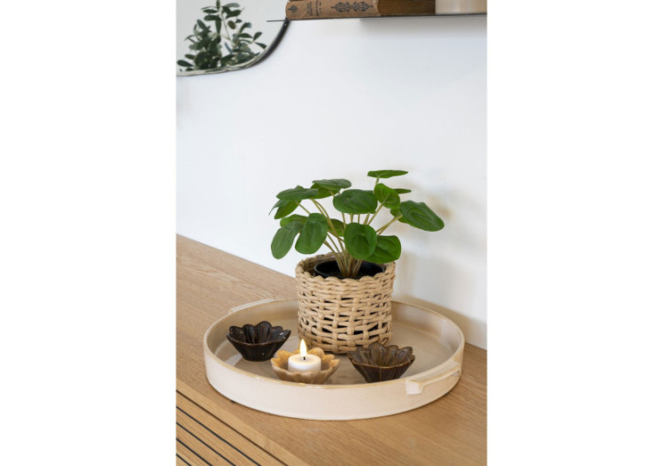 Pelia - Plante d'Intérieur Élégante - 9501005 - House Nordic 2